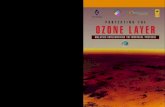 PROTECTING THE OZONE LAYER - CETESB Protection of the Ozone Layer 13 Figure 4 The Ozone Protection Section