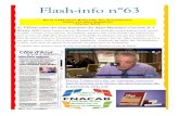 Flash-info n°63 - WordPress.com · 2018. 2. 10. · Web. Microsoft Publisher vous offre un moyen simple de convertir votre bulletin en site Web. Une fois votre bulletin terminé,