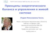 IIS-RT-2018 Collection №68 ... - eng.ikar.udm.ru · О квантовой электродинамике • Квантовая электродинамика – область
