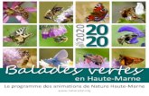 Balades Vertes - Nature Haute-Marne · 2020. 3. 3. · Rens. : Joël CLEMENT 06 38 11 80 20 Dimanche 17 mai BROTTES Initiation à l'écoute et à la reconnaissance des chants d'oiseaux