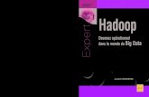 Hadoop - fnac-static.com · 2017. 4. 14. · Introduction • Contexte de création d’Hadoop • Architecture in-frastructurelle d’Hadoop • MapReduce • Hadoop • HDFS •