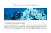 Le blanchissement corallien de 2016horizon.documentation.ird.fr/exl-doc/pleins_textes/...températures de surface de la mer ne font plus aucun doute pour les prochaines décennies