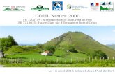 COPIL Natura 2000...COPIL Natura 2000 FR 7200754 : Montagnes de St Jean Pied de Port FR 7212015 : Haute Cize: pic d’Errozate et forêt d’Orion Le 16 avril 2015 à Saint Jean Pied