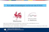 Les aides économiques en faveur des P.M.E. · Place de la Wallonie, 1 Bât. I 5100 JAMBES Tél. 081/33.42.00 - fax 081/33.42.22 (permanence téléphonique de 9h00 à 12h00) ... •