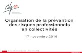 Organisation de la prévention des risques professionnels ......- Mettre à jour les annuaires du CDG - Réaliser un état des lieux de l’organisation de la prévention des risques