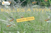Bulletin n° 57 Mai- Juin 2016 BULLES A THYM · 2017. 12. 14. · Horloge biologique plus précise que chez les autres insectes. La vision de l’abeille Deux types d’yeux : 2 yeux