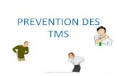 PREVENTION DES TMS - Accueil | SOMETRAV-PACA.org · Pratiquons les étirements afin de Favoriser la récupération musculaire et augmenter la circulation sanguine Augmente l’élasticité
