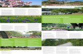 Le parc floral de la Beaujoire - Loisirs-reductions · 2017. 2. 8. · d’écrin de présentation de collections d’iris, de bruyères et de vivaces. Tous les 5 ans, le parc des