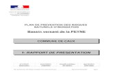 1- RAPPORT DE PRESENTATIONpiece-jointe-carto.developpement-durable.gouv.fr/DEPT034... · 2012. 3. 14. · COMMUNE DE CAUX 1- RAPPORT DE PRESENTATION procédure prescription enquête