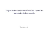 Organisation et financement de l’offre de soins et médico ...€¦ · 2.2.1- Niveau national ‒Parlement ‒Gouvernement : Ministère Affaires sociales et de la Santé: Service