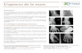 Urgences de la main - OrthoSudRDV sur doctolib.fr.  Urgences de la main Présentation Les traumatismes de la main sont un motif fréquent de consultation dans …