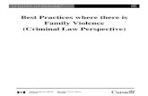 Best Practices where there is Family Violence (Criminal ... · PDF file Practices that best promote the safety of the family while ensuring a fair process for an accused person depend