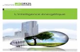 Business unit EMSmedia.energie-industrie.com/Presentation/delta_dore_ems... · 2017. 3. 24. · automatismes et sécurité dans les bâtiments neufs ou en rénovation, résidentiels