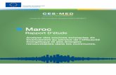 Maroc - CES-MED report...Dr Maya Aherdan, Directrice de l’observation et la programmation au sein du Ministère de l’énergie, des mines, de l’eau et de l’environnement du