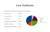 Les Cultures - Prairiales Normandie · 2018. 7. 20. · Les Cultures L'exploitation comporte 130 hectares, composés de : Blé tendre 48,5 ha Orge d'hiver 15 ha Luzerne 3 ha Betteraves