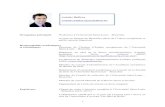 Curriculum Vitae Version Française · 2020. 7. 13. · 1 Occupation principale Professeur à l’Université Saint-Louis – Bruxelles Avocat au barreau de Bruxelles (droit de l’Union