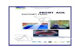 PROJET AGIL – RAPPORT FINAL – OCT. 2005agritrop.cirad.fr/544666/1/document_544666.pdf · 2015. 5. 29. · Projet AGIL – RAPPORT FINAL – oct. 2005 2 - Un savoir-faire dans