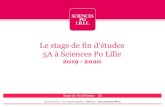 Le stage de fin d’études 5A à Sciences Po Lille · INSERTION PROFESSIONNELLE / STAGE FIN DETUDES Convention en 4 langues à préciser lors de la saisie sur le formulaire via le