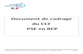 Document de cadrage du CCF PSE en BCP - ac-orleans-tours.frsbssa-lp.ac-orleans-tours.fr/fileadmin/user_upload/sbssa/Enseignem… · n°35 du 24/09/2009) Au titre de la certification