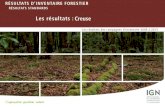 Les résultats : CreuseLa composition des peuplements RÉSULTATS D’INVENTAIRE FORESTIER – RÉSULTATS STANDARDS (campagnes 2009 à 2013) – Creuse Surface selon la diversité Peuplement