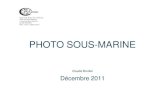 PHOTO SOUS-MARINE - Freeccpsa.free.fr/private/telech/2011_La photo sous marine...CCPSA Photographie Sous-Marine 2011_RevB 16 (17) R•f•rences et bibliographie du 13 au 16 janvier