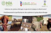 Fonctionnement et performances des systèmes en polyculture ... · Cohérence des systèmes d’élevages en agriculture biologique du Massif central Fonctionnement et performances