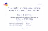 Perspectives énergétiques de la France à l’horizon 2020-2050archives.strategie.gouv.fr/cas/system/files/... · C) Extension des compétences des collectivités territoriales