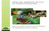 Atlas des papillons de jour du PoitouCharentes · Atlas des papillons de jour du PoitouCharentes La Démarche Avec 115 espèces inventoriées à ce jour (PoitouCharentes Nature, 2001)