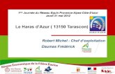 Le Haras d’Azur ( 13150 Tarascon) · 2012. 7. 31. · • Surface : 12.7 ha en propriété et 10.1 ha en fermage • Infrastructures : - manège couvert 30×15 + carrière 40×80