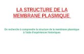 LA STRUCTURE DE LA MEMBRANE PLASMIQUE 2019. 9. 8.¢  La structure membranaire plasmique (extrait du Magnard
