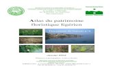 Atlas du patrimoine floristique ligériencbnbp.mnhn.fr/cbnbp/actions/pdf/Doc_corres_Loire_2004.pdf · Sur l'axe ligérien (fig. n°7), il n'existait jusqu'à présent que des données