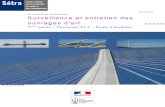 Instruction technique Surveillance et entretien des ...piles.cerema.fr/IMG/pdf/0845w_ITSEOA_F34-2_cle59c111.pdf · 1 - Particularité du parc des ponts à haubans 1.1 - Historique