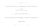 Mémoire Guillaume Crevier-Lalonde · PDF file Ce mémoire intitulé : Déplacement, délocalisation et « dévoyage » dans quelques récits québécois contemporains présenté par