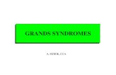 04- grands syndromes - Freeufr2.free.fr/d1/04._grands_syndromes.pdf · GRANDS SYNDROMES Signes fonctionnels Signes physiques - Inspection : +- immobilité - Palpation : augmentation