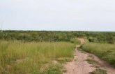 8 Strategies de conservation de la biodiversit£© au Burkina Faso Biodiversity conservation strate-gies