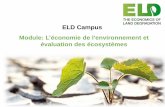 ELD Campus Module: L’économie de l'environnement et ... · 6 Les biens environnementaux: Les éléments de la nature qui produisent de la valeur pour l'homme => Le Capital Naturel