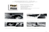 PRESS IMAGES & COVER · ANDREY TARKOVSKY Films, Stills, Polaroids & Writings Edited by Andrey Tarkovsky Jr., Hans-Joachim Schlegel and Lothar Schirmer 320 pages, 350 illustrations