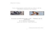 Les campagnes préventives chocs de la sécurité routière en ... · PDF file sécurité routière en France Licence professionnelle ATC - Métiers de la publicité IUT Robert Schuman