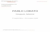 PABLO LOBATO - Bendana I Pinel Art Contemporainbendana-pinel.com/_media/_pdf/DP-PL-FR.pdf · 11 septembre > 25 octobre 2014 4, RUE DU PERCHE | 75003 PARIS | MARDI > SAMED I 11H >