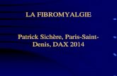 LA FIBROMYALGIE Patrick Sichère, Paris-Saint- Denis, DAX 2014 PRESENTATION D… · resultats, elle dit qu’on lui a dit : • vous ne guerirez pas • vous etes deprimes • apprenez