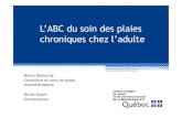 L’ABC du soin des plaies chroniques chez l’ des soins de plaie · PDF file Ulcère veineux Inspiréedelaformationenligne:Prévention,soinsettraitementdesplaies (2011). ASSS de