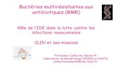 Bactéries multirésistantes aux antibiotiques (BMR) · Rôle de l’IDE dans la lutte contre les infections nosocomiales CLIN et ses missions Professeur Catherine Neuwirth Laboratoire