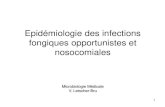 Epidémiologie des infections fongiques opportunistes et ... Physiopath/Microbiologie/1.Epidemiologie des... · Infections opportunistes et nosocomiales I. Généralités : 15 I.