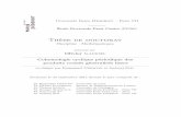 ÉcoleDoctoraleParisCentre - uni-goettingen.de · UniversitéDenisDiderot –ParisVII ÉcoleDoctoraleParisCentre(ED386) Thèse de doctorat Discipline:Mathématiques présentéepar