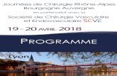 PROGRAMME - Claude Bernard University Lyon 1media.univ-lyon1.fr/2018/raba2018/prpgramme-v060318.pdf · Journée Rhône-Alpes-Bourgogne-Auvergne en partenariat avec la Société de