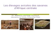 Les élevages avicoles des savanes d’Afrique centrale€¦ · Importance de l’aviculture au plan nutritionnel, économique et socioculturel dans savanes d’Afrique centrale Diverses