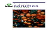 Descripteurs des agrumes (Citrus spp.) · 2018. 3. 28. · de recherche et de diffusion de l’information, et contribuera à l’utilisation du matériel génétique. Il est donc