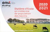 Me d P o p Bovine Diplôme d’Ecole 2021 en médecine de ......DE Nutrition et alimentation de la vache laitière F. Enjalbert 2-6 nov. 2020 40/113 DEBV-01 Economie de la santé des