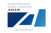 RAPPORT D’ACTIVITÉ · 2020. 10. 5. · Sommaire Chaque année, le rapport d’activité est élaboré dans la perspec-tive de dresser une synthèse des politiques publiques conduites