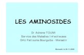 LES AMINOSIDES - Tout un programme...LES AMINOSIDES Dr Adnene TOUMI Service des Maladies Infectieuses CHU Fattouma Bourguiba - Monastir Monastir le 28.11.2008